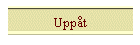 Uppåt